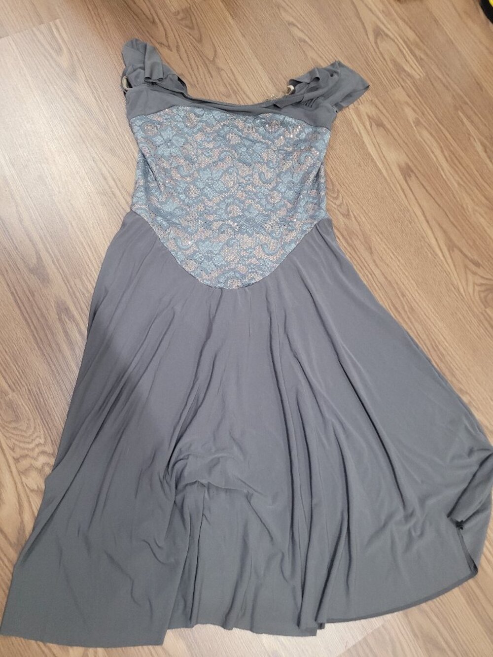 Cicci Adult Large Gray Lace Bodice Dance Dress Costume